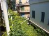DSC00475.JPG