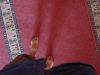 DSC00579.JPG
