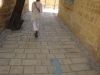 DSC00703.JPG