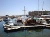 DSC00869.JPG
