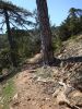 DSC01169.JPG