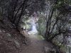 DSC01461.JPG
