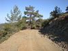 DSC01538.JPG