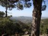 DSC01556.JPG