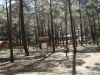 DSC01577.JPG