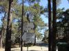 DSC01579.JPG