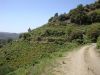 DSC01654.JPG