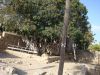 DSC01860.JPG