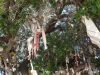 DSC01865.JPG