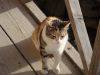 DSC01923.JPG