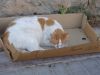 DSC01943.JPG