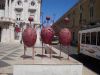 DSC03747.JPG