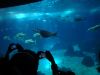 DSC03831.JPG