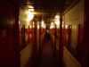 DSC06388.jpg