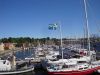 DSC06724.jpg