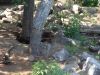DSC06978.jpg