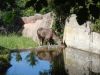 DSC07045.jpg