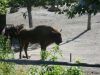 DSC07046.jpg