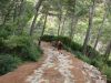 DSC07964.JPG