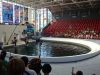 DSC07710.JPG