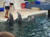 DSC07716.JPG